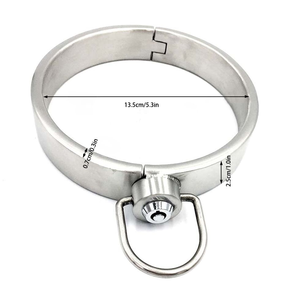 Aeterna-Stainless-Steel-Locking-Collar-BDSM-Choker