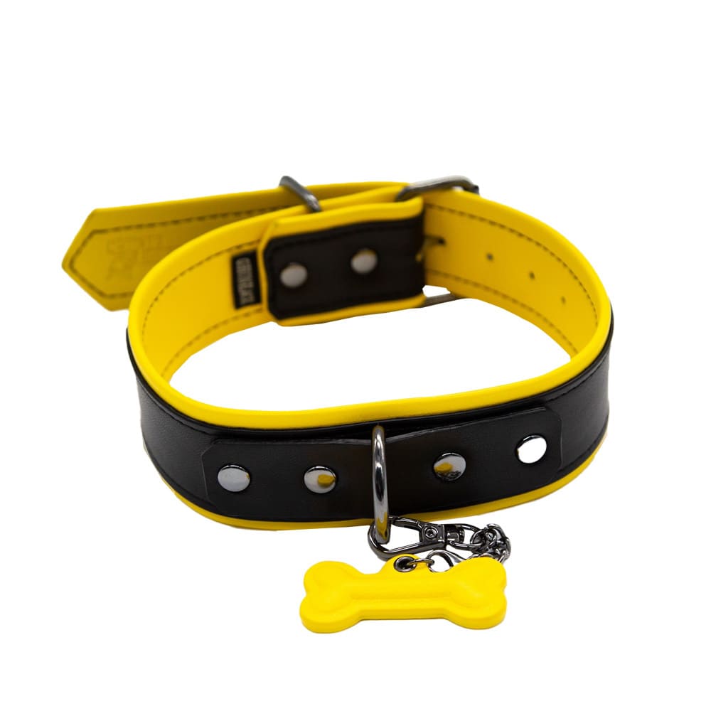 Leather-Puppy-Collar