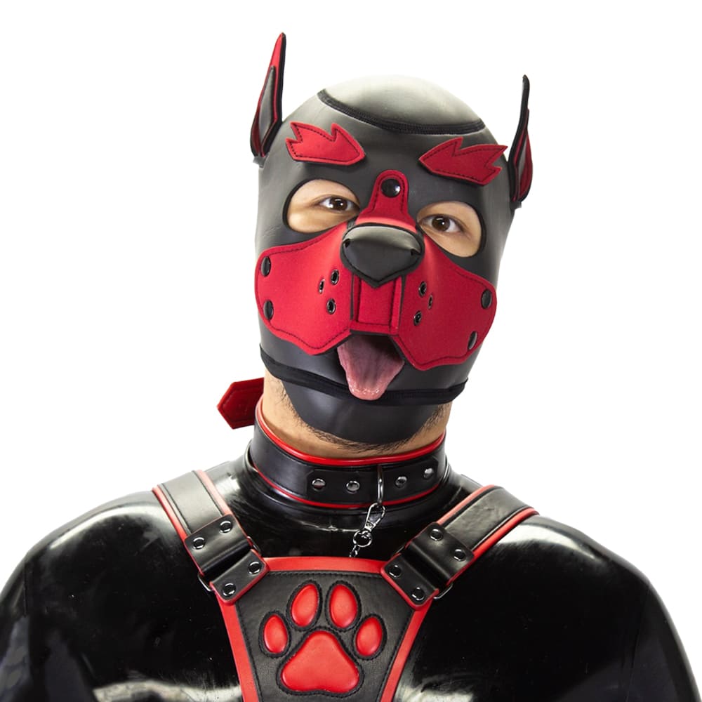 Standard-Neoprene-Puppy-Hood-3-in-1-eyebrows-within