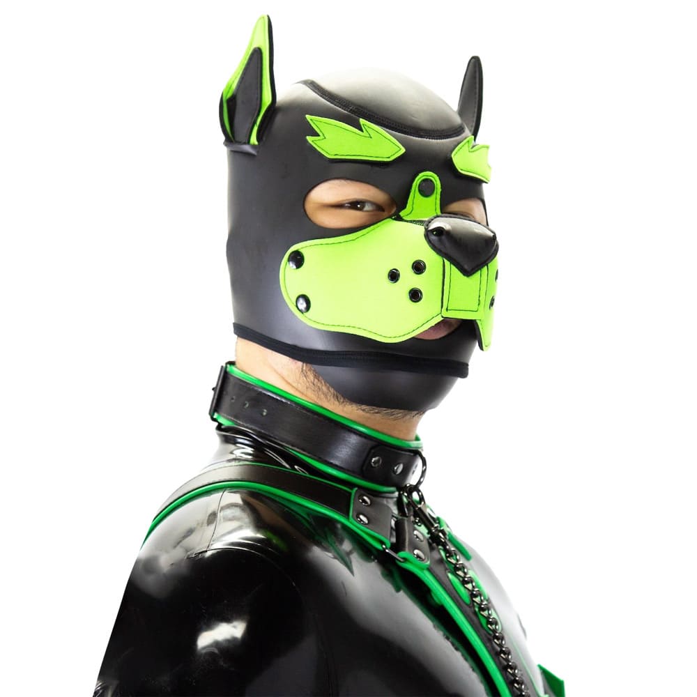 Standard-Neoprene-Puppy-Hood-3-in-1-eyebrows-within