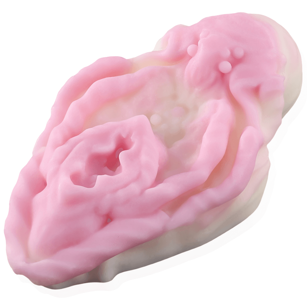 nothosaur-flora-scented-wax