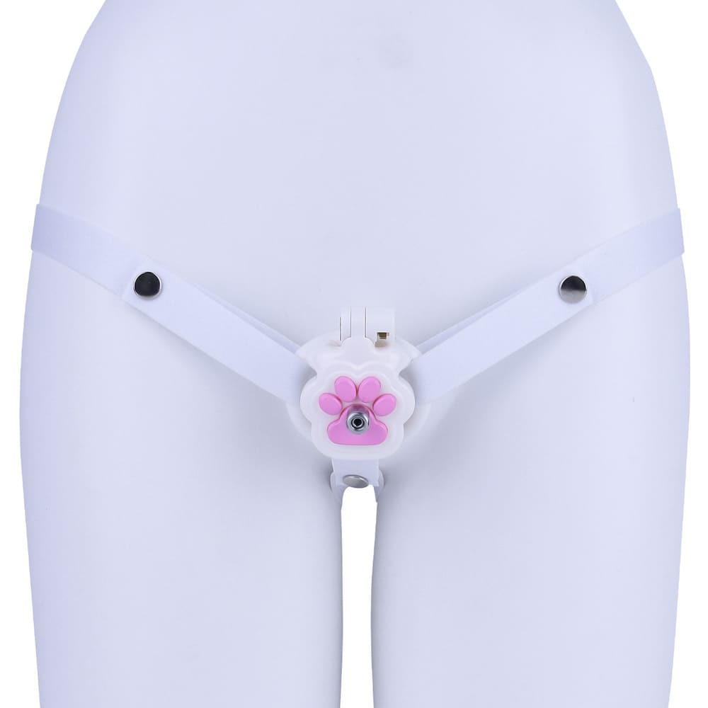 Felis-Cat-Paw-Resin-Male-Chastity-Cage