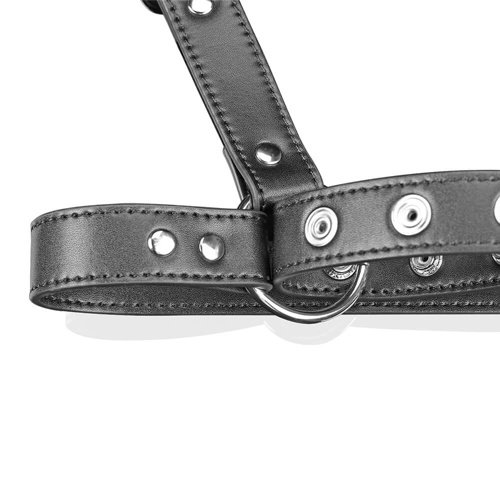 nothosaur-yrdeno-strap-on-harness